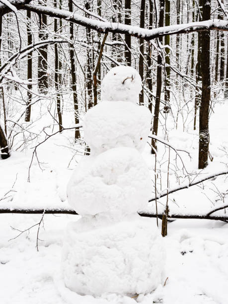 istock handmade snowman in snow-covered city park 1298858746