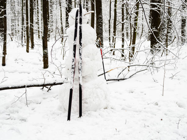 istock handmade snowman with skis in snow-covered park 1298858767