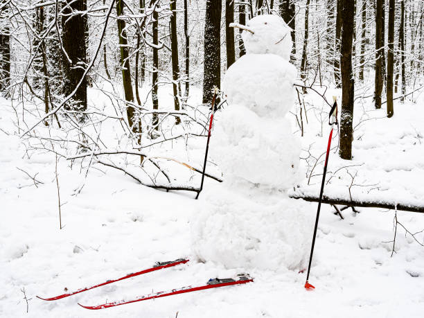 handcrafted snowman skier in snow-covered park