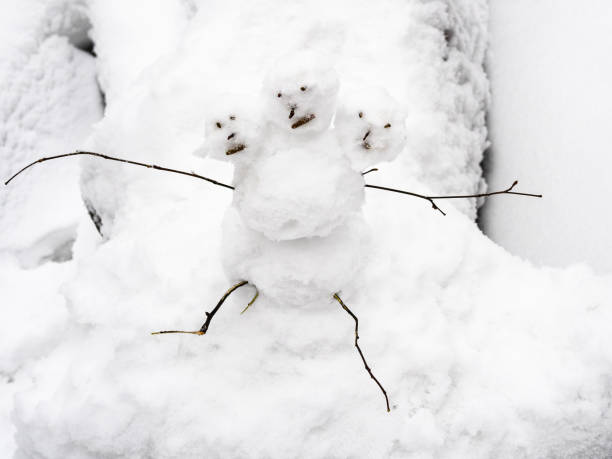 istock little three-headed snowman on snowy fallen tree 1298858773