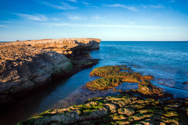 istock Rocky coast with green seaweed 1298860647