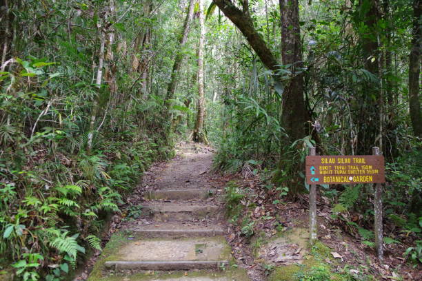 istock Kinabalu Park in Borneo island 1298860804
