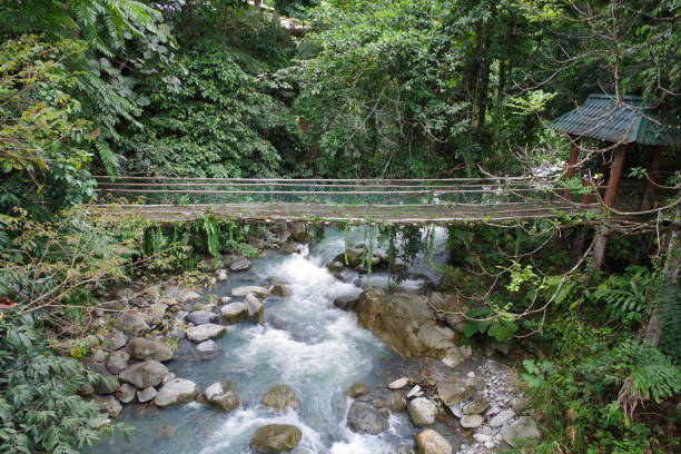 istock Kinabalu Park in Borneo island 1298860866