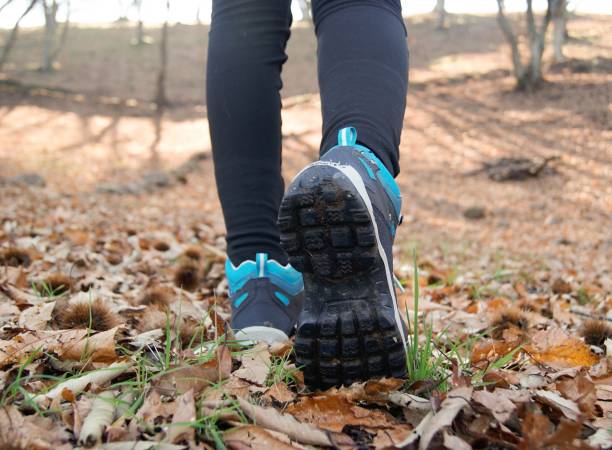 istock Young woman walking in a forest in Winter 1298862847