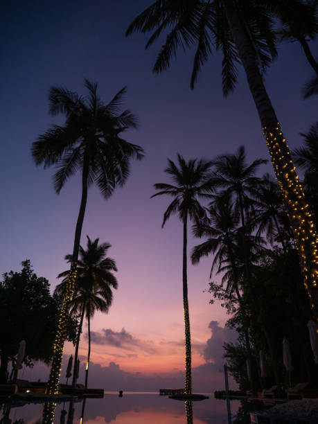istock Infinity pool at dusk, Maldives luxury hotel 1298864028