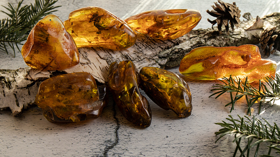 Amazing ancient amber stones of different colors and forms on a birch bark on a gray plastered surface. Amber texture, material for jewelers, stone healing, alternative medicine.