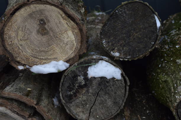istock Snow on the wood 1298866042