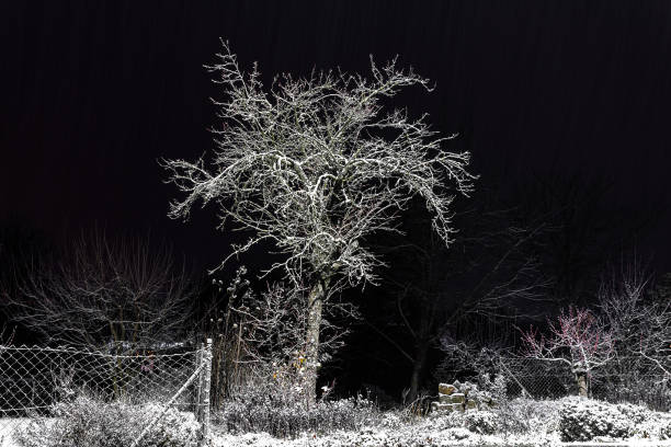 Winter night by the river