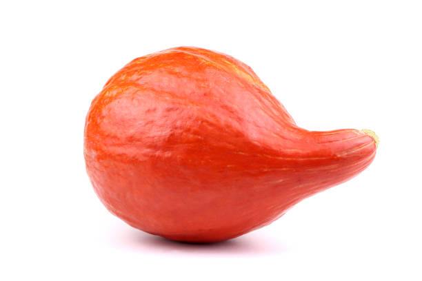 istock Orange pumpkin isolated on a white background. A pumpkin Harvest 1298872657