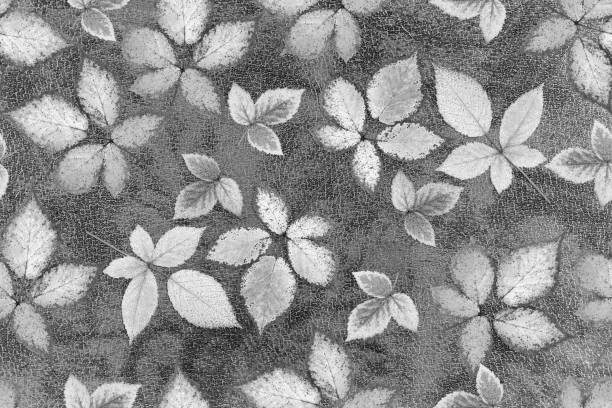 istock Black-white seamless pattern Grey leather and leaves abstract background. Grey background whith leaves 1298877984