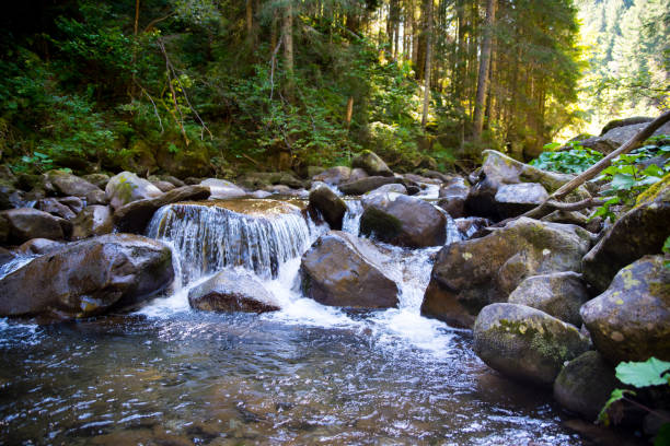Mountain waterfall on a stream in the mountains with a forest, mountain landscape, wallpaper, background, postcard