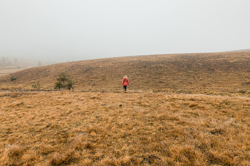 Young woman exploring nature on a foggy winter morning