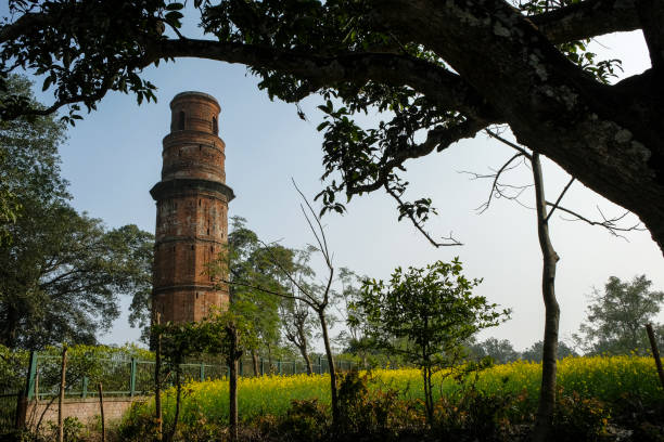 Gour in West Bengal, India. Firoz Minar ruins of what was the capital of the Muslim Nawabs of Bengal in the 13th to 16th centuries in Gour, West Bengal, India. gaur stock pictures, royalty-free photos & images