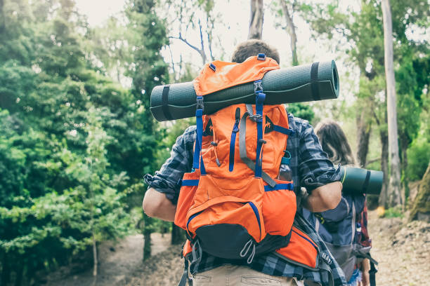 Couple travelers with backpacks walking in forest and enjoying view. Two tourists traveling along road in woods. Back view of hikers. Backpacking tourism, adventure and summer vacation concept