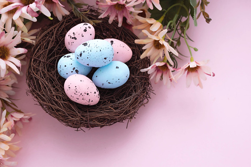 Colorful easter eggs in nest and flowers on pink background with copy space. Flat lay.