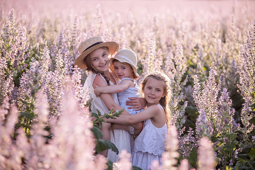 Three sisters in white sundresses hug each other. Girls play in blooming field of purple sage. Happy family in love. Walking in the fresh air, happy childhood, caring for the younger ones. Copy space