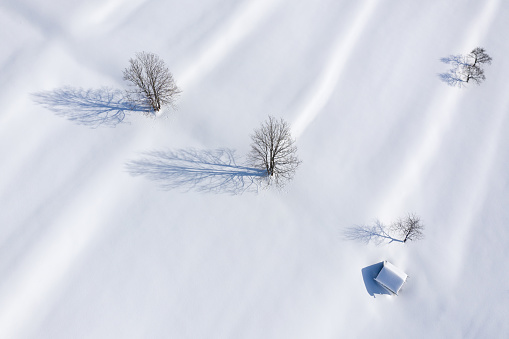 Beauty in Nature. Aerial of Trees and Barn throwing long Shadows in the Morning Sun on fresh deep Powder Snow. Converted from RAW.