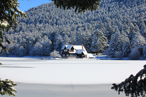 Bolu, Turkey-January 8, 2011: Snowy Pine Trees Forest and Small Wooden House Around Frozen Golcuk Lake in Golcuk Nature Park. The house looks through the tree branches.