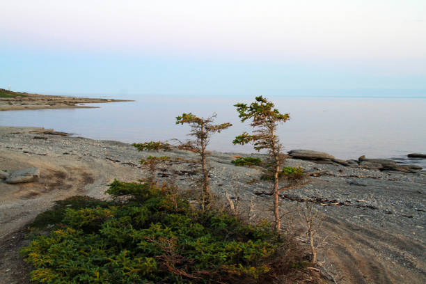 istock The Mingan Archipelago Canada National Park 1298899059