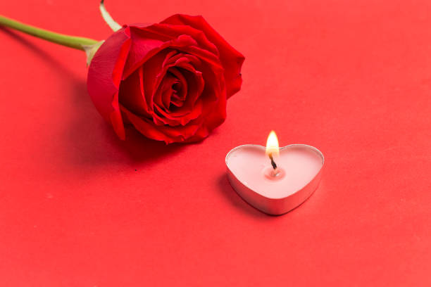istock Beautiful roses in full bloom 1298899532