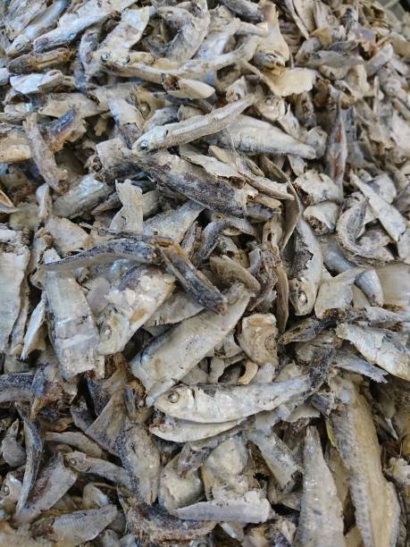 istock Small dried fish in supermarket 1298901196