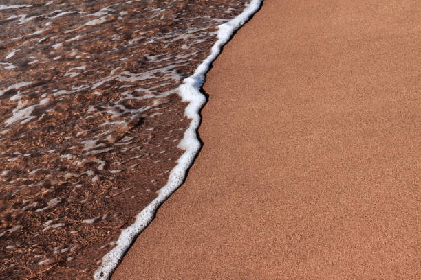 plan rapproché de la côte de la mer, eau de mer claire avec des vagues peu profondes et une étroite bande de mousse blanche avec des bulles lave le rivage avec une surface de sable brun lisse. - sandy brown bay beach sand photos et images de collection