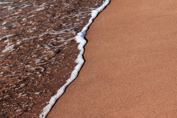 close-up da costa marítima, águas claras do mar com ondas rasas e uma estreita faixa de espuma branca com bolhas lava a costa com uma superfície de areia marrom lisa. - sandy brown bay beach sand - fotografias e filmes do acervo