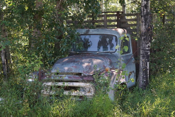 istock Vintage Truck in Back woods 1298908913