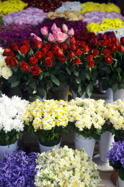 istock Flower seller 1298909379