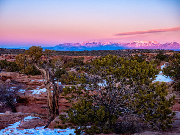 istock Canyonlands National Park 1298911309