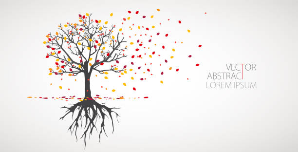 istock Abstract tree with roots. Vector outline illustration. Plant in Garden. 1298914731