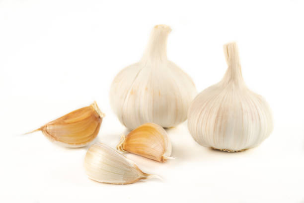 Garlic on White Background Garlic on White Background garlic bulb stock pictures, royalty-free photos & images