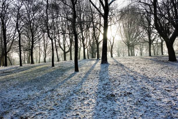 istock Winter In The Park. 1298915710