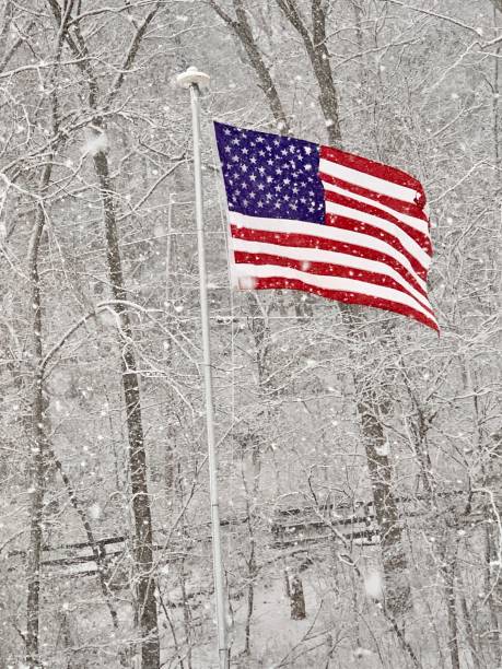 istock Proudly Flying on Inauguration Day 1298917120
