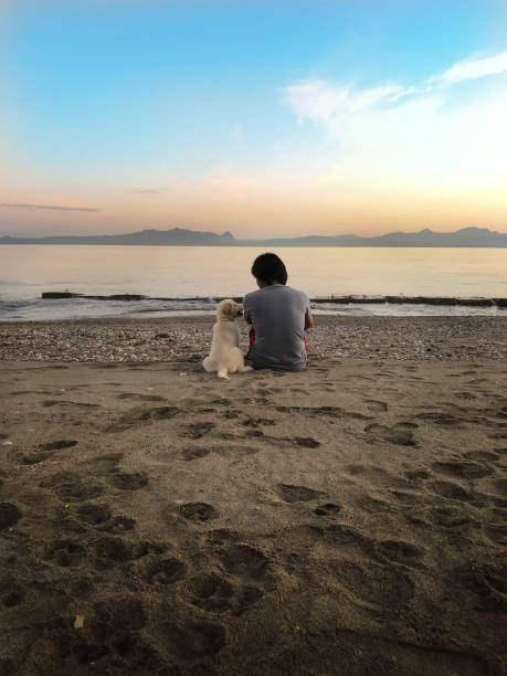 istock With a best friend at the beach 1298919641