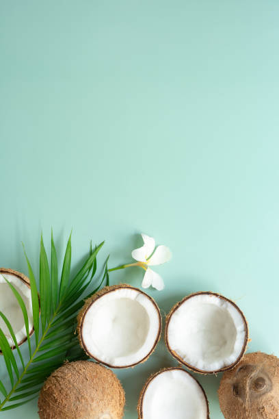 istock Tropical green palm leaf and cracked coconut on Green background. 1298923379