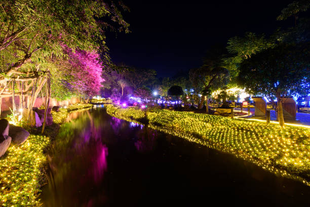 istock Lighting decorate on the tree in lighting festival showing countdown event 1298925553