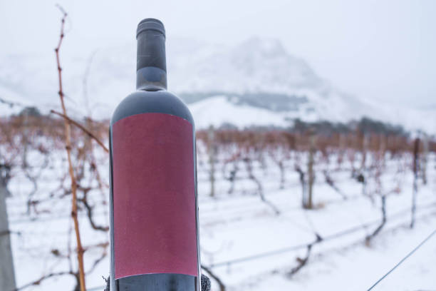 istock Wine bottle in the snow 1298937339