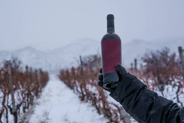 istock Wine bottle in the snow 1298937415