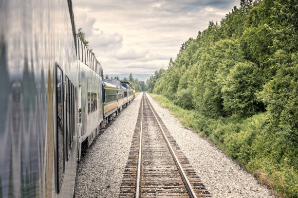 istock Straight forward, train and railtracks in the alaskan wilderness 1298947488