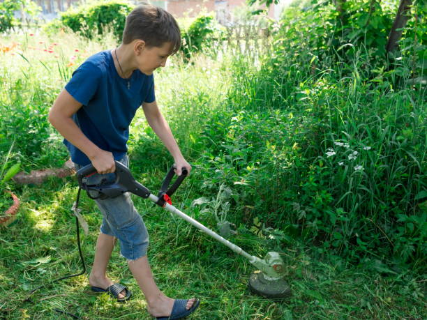 un niño, de 11 años, corta la hierba con una guadaña eléctrica en el césped en el patio de una casa en un día soleado de verano. - hedge clippers weed trimmer grass lawn fotografías e imágenes de stock