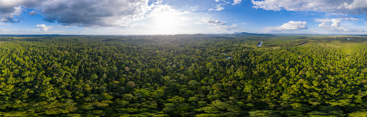 Beauty nature aerial panaroma top view tropical rainforest at Borneo