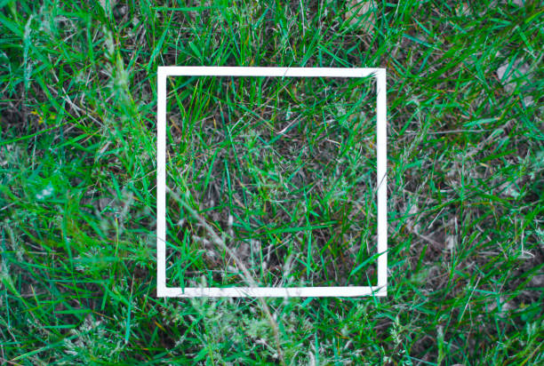 istock Banner with green grass texture. Exotic botanical design for cosmetics, spa, perfume, beauty salon, travel agency, florist shop. Best as wedding invitation cards. Flat lay. Copy space. Square frame. 1298952602