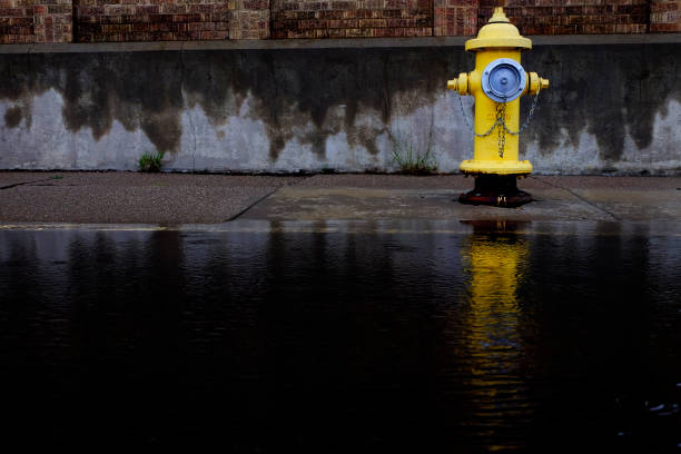 istock Yellow fire hydrant reflected reflection in pool of water flood 1298953115