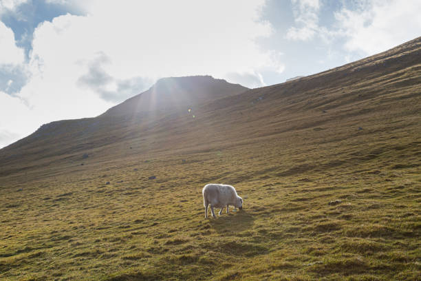 istock Saksun Streymoy Faroe Islands 1298953795