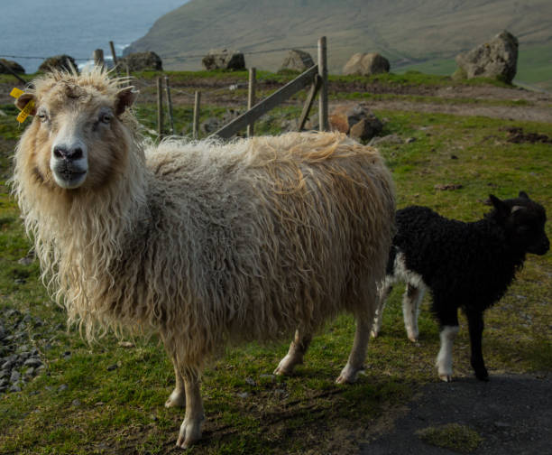 istock Saksun Streymoy Faroe Islands 1298953812