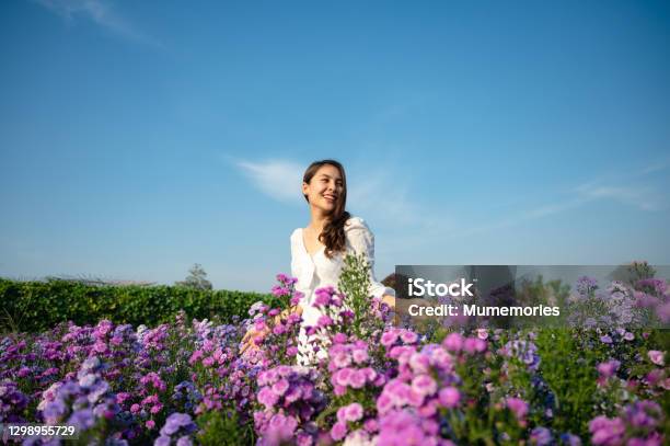 Young Asian Woman In White Dress Enjoying Margaret Flower Blooming In Garden Stock Photo - Download Image Now