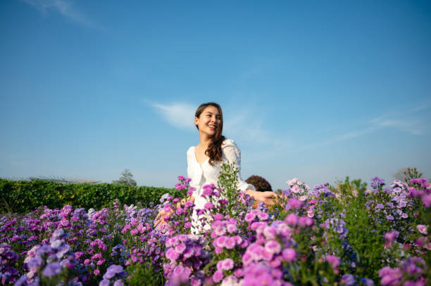 młoda azjatka w białej sukni cieszącej się kwiatem małgorzaty kwitnącym w ogrodzie - beauty in nature flower flower head blossom zdjęcia i obrazy z banku zdjęć