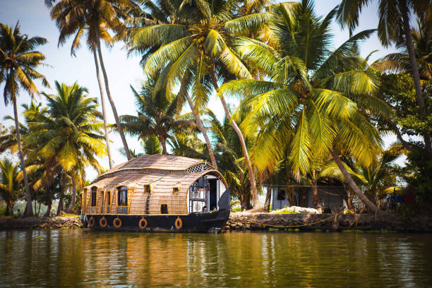 House-boat pleasure cruise ship in India, Kerala on the seaweed-covered river channels of Allapuzha in India. Boat on the lake in the bright sun and palm trees among the tropics. Sight Houseboat stock photo