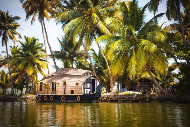 Photo of House-boat pleasure cruise ship in India, Kerala on the seaweed-covered river channels of Allapuzha in India. Boat on the lake in the bright sun and palm trees among the tropics. Sight Houseboat
